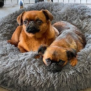 Meet your Posher, Kathy